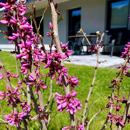 Apartment Bergfieber Fieberbrunn Luaran gambar